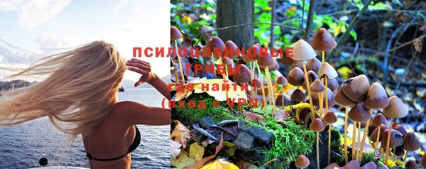 гашишное масло Дмитриев